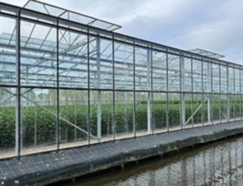 Plantenterrarium geheel belast met 21% btw