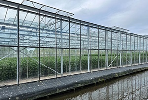 Plantenterrarium geheel belast met 21% btw