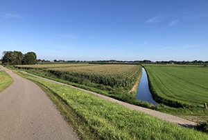 Wie betaalt toeristenbelasting bij verhuur aan arbeidsmigranten?