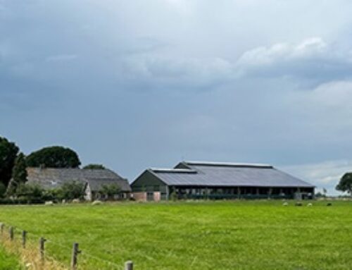 Stikstofdispositieruimte is zelfstandig bedrijfsmiddel, HIR mogelijk