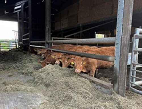 Agrarische normbedragen erf- en schenkbelasting bekend