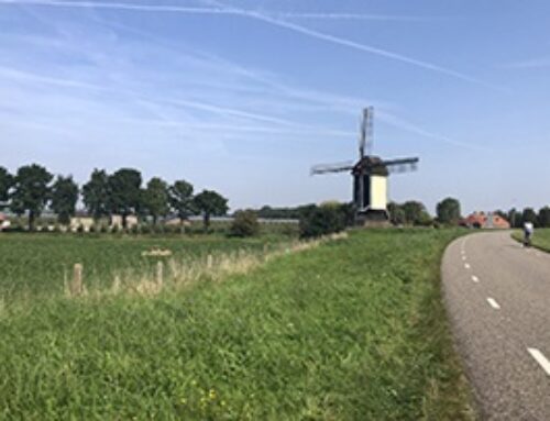 Waarde verpachte gronden box 3 2025