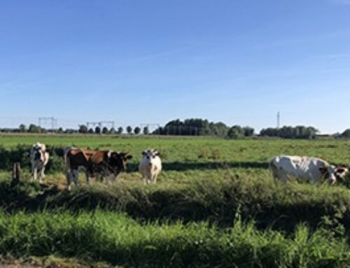 Lagere WOZ-waarde voor PAS-melder