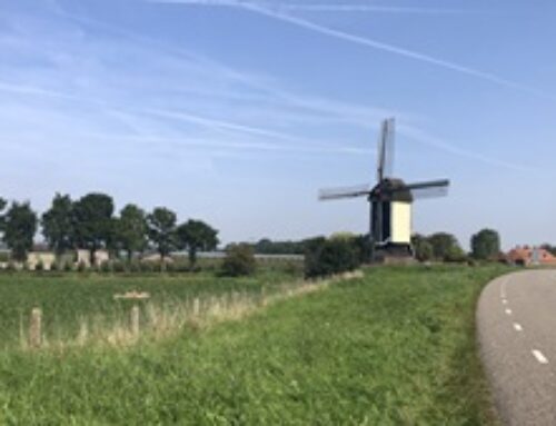 Kosten aftrekbaar ondanks gedeeltelijke winstvrijstelling?