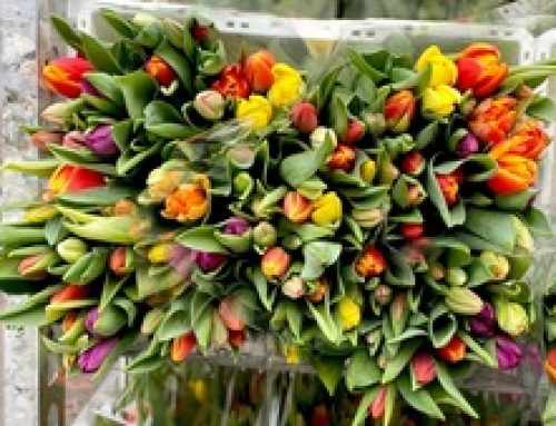 Bloemen voor nieuwe werknemer belast?