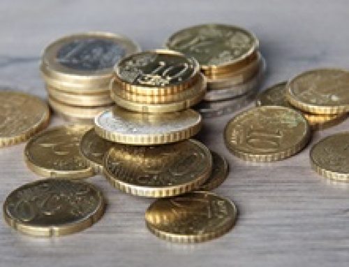 Bij welke bv moet je gebruikelijk loon genieten?