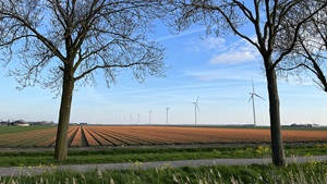 21% btw op sierteeltproducten vanaf 2028